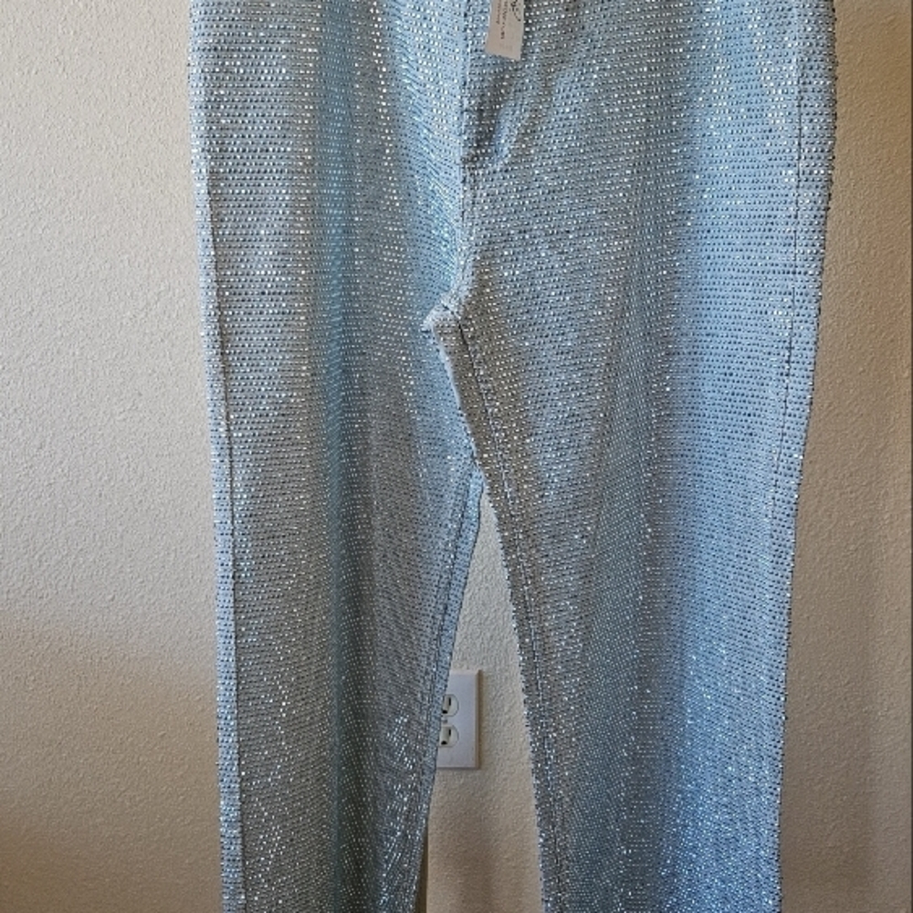 Shiny Silver Pants